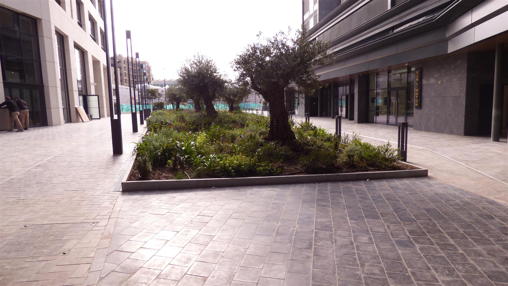 Image of Apartment - 3 Bedrooms - 3 Bathrooms for Sale in Midtown-Gibraltar, Image 11